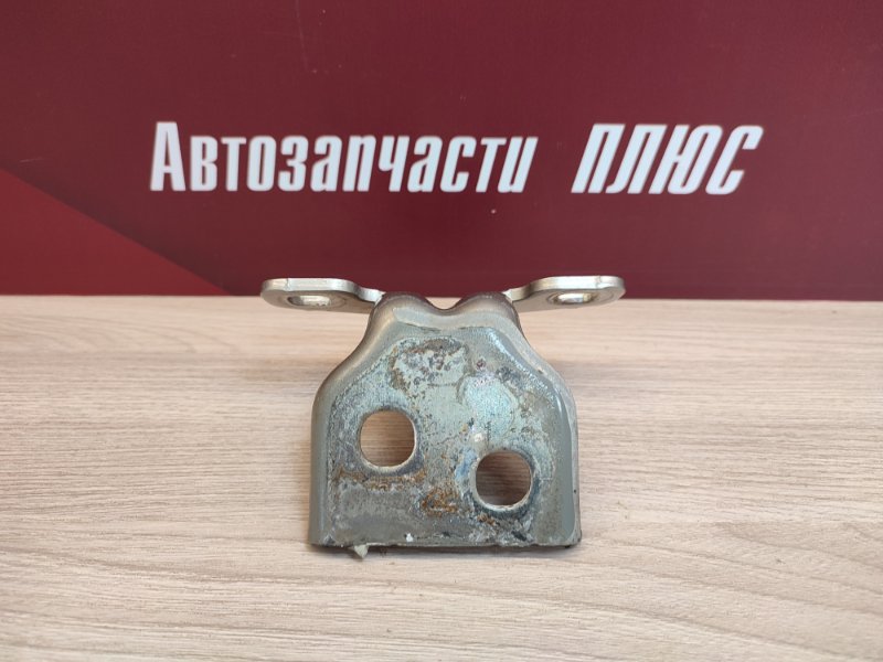 Петля двери