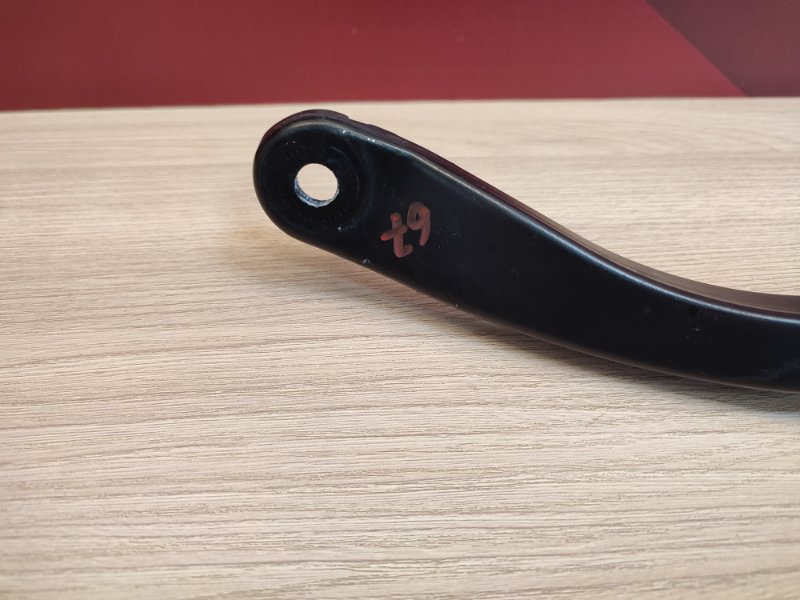 Поводок   дворника