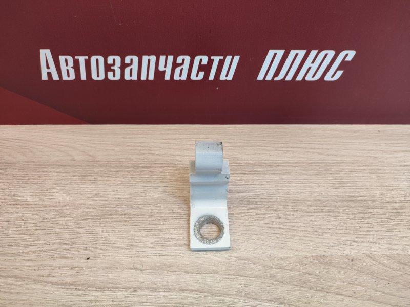 Петля двери