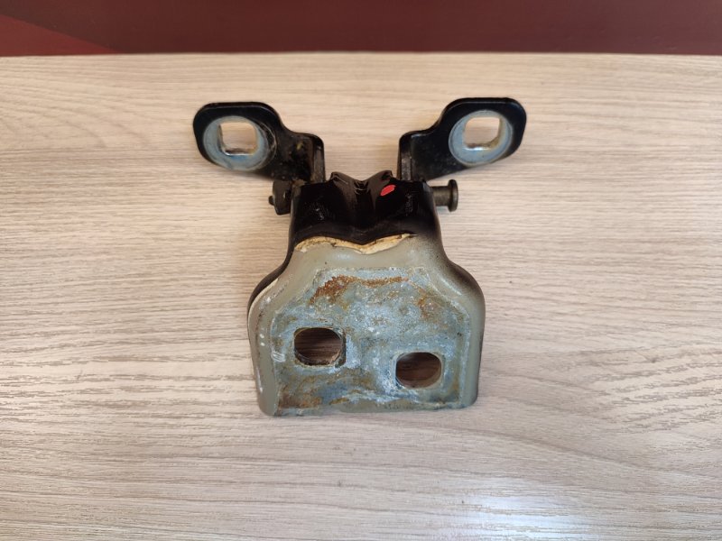 Петля двери