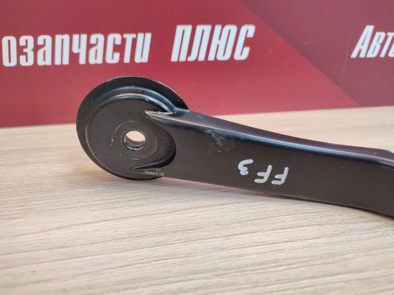 Поводок   дворника