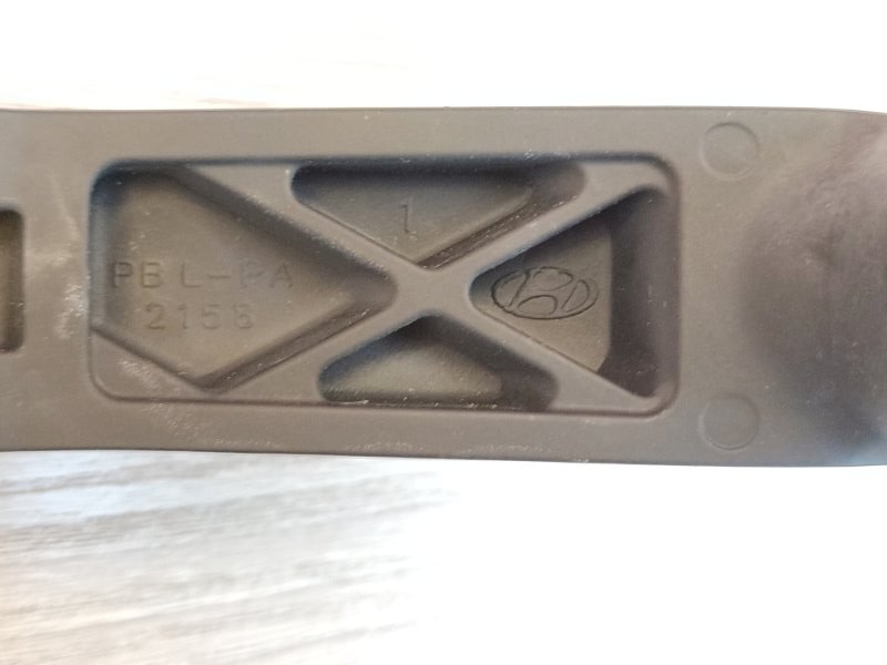 Поводок   дворника