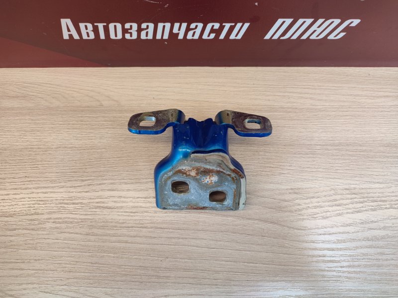 Петля двери