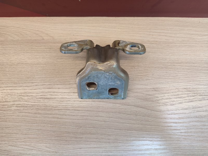 Петля двери