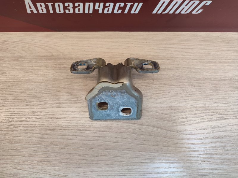 Петля двери