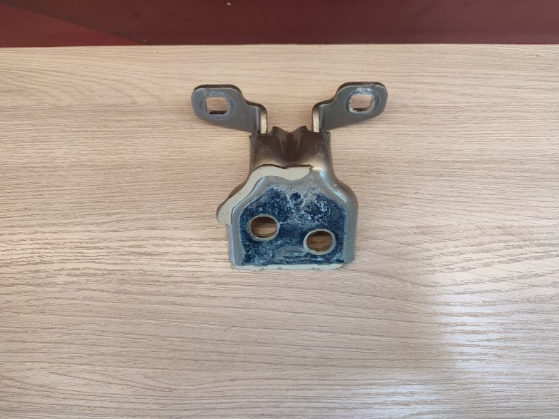 Петля двери