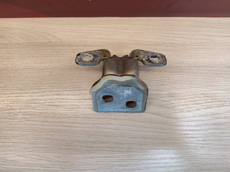 Петля двери