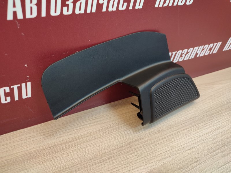 Накладка динамика     двери