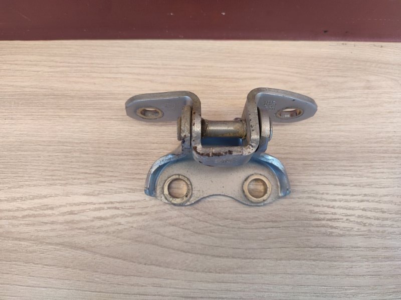 Петля двери