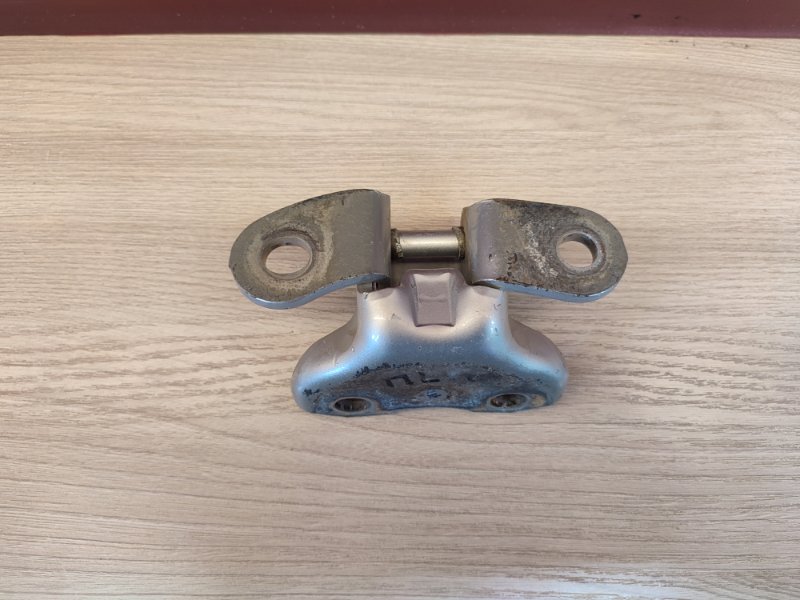 Петля двери