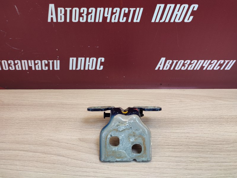 Петля двери