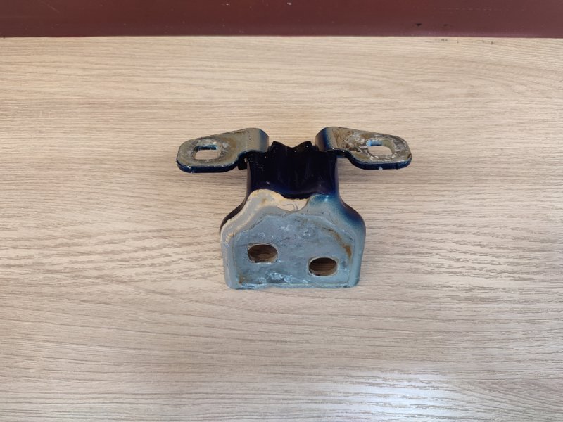 Петля двери