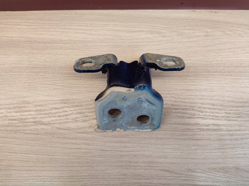 Петля двери