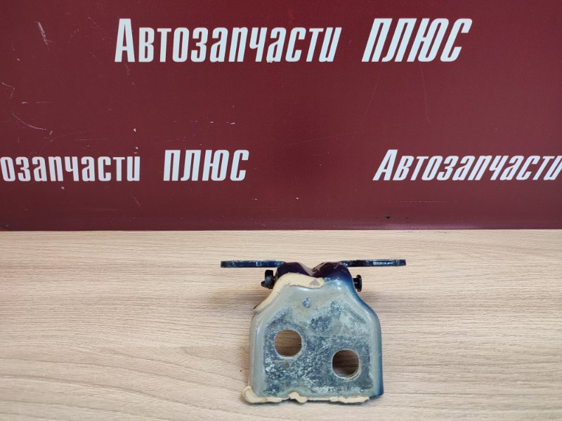 Петля двери