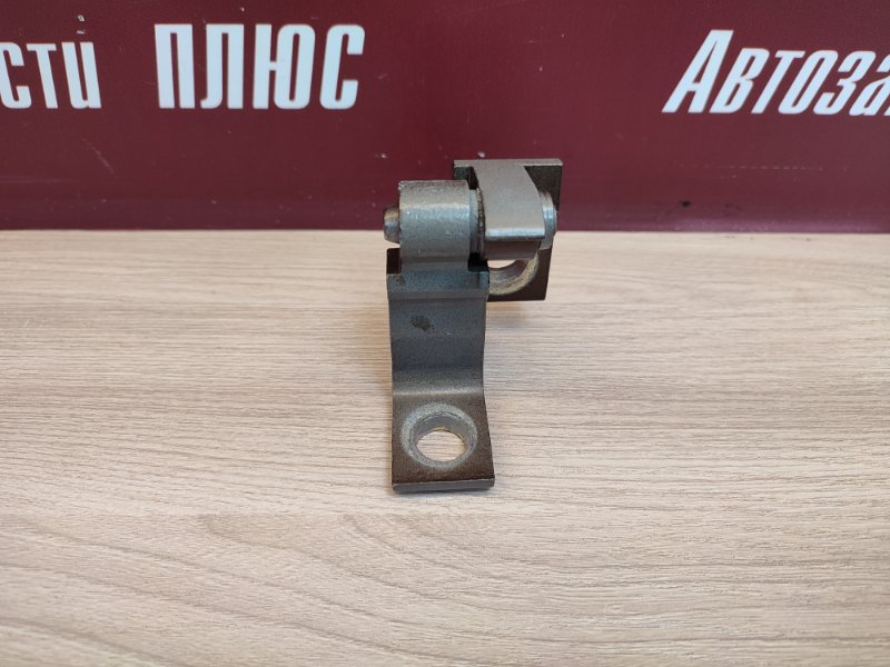 Петля двери