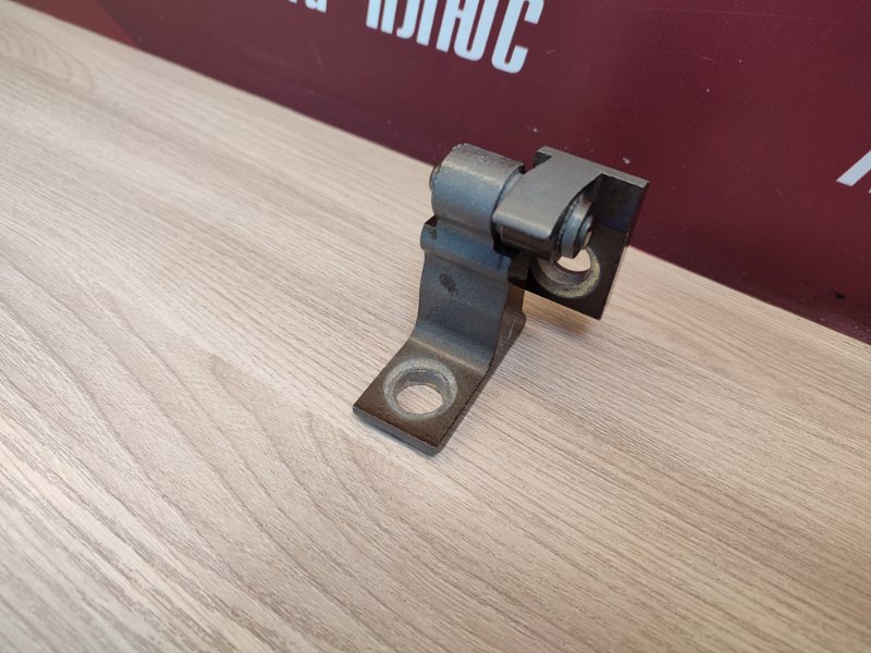 Петля двери