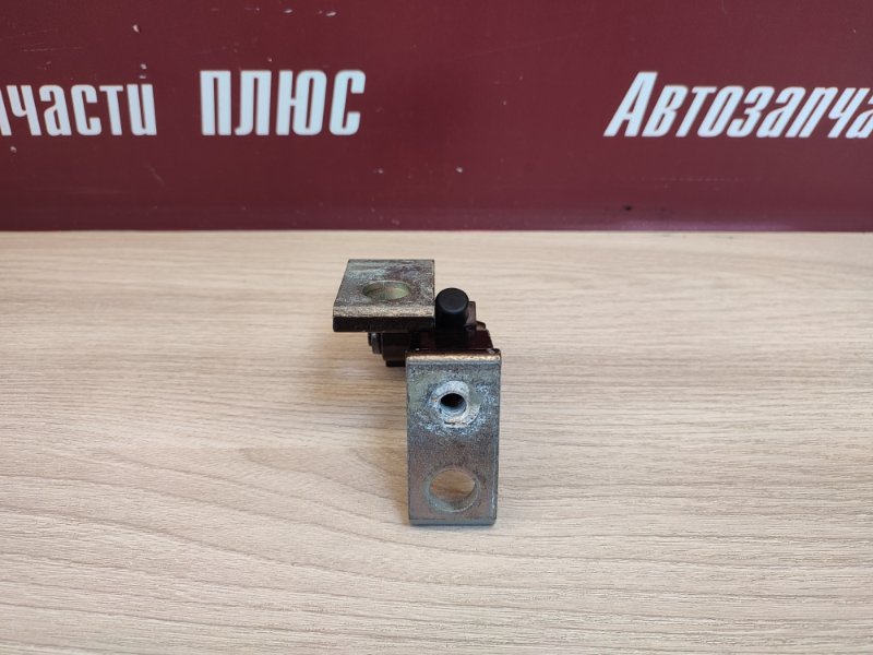 Петля двери