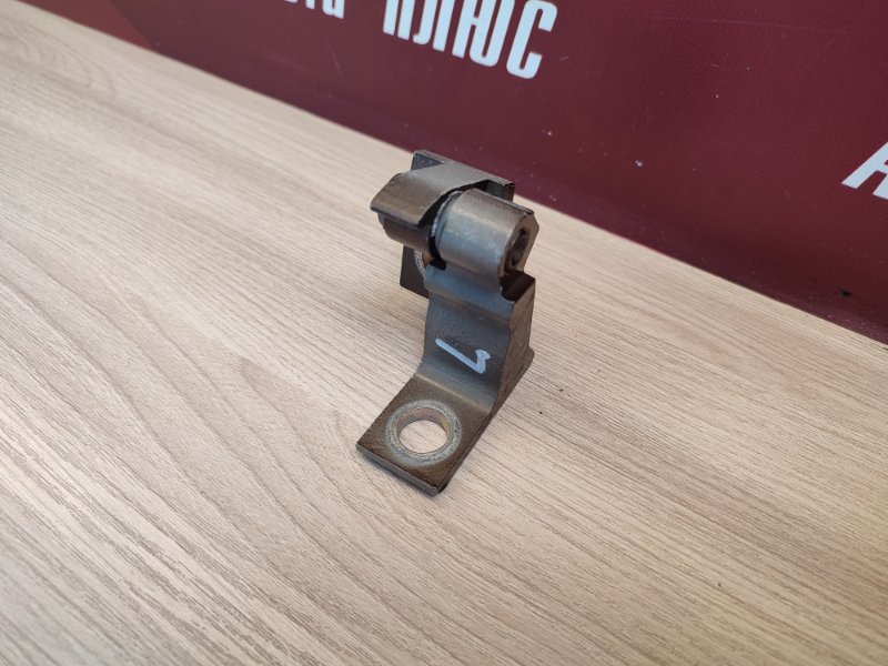 Петля двери