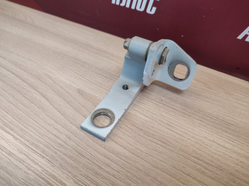 Петля двери