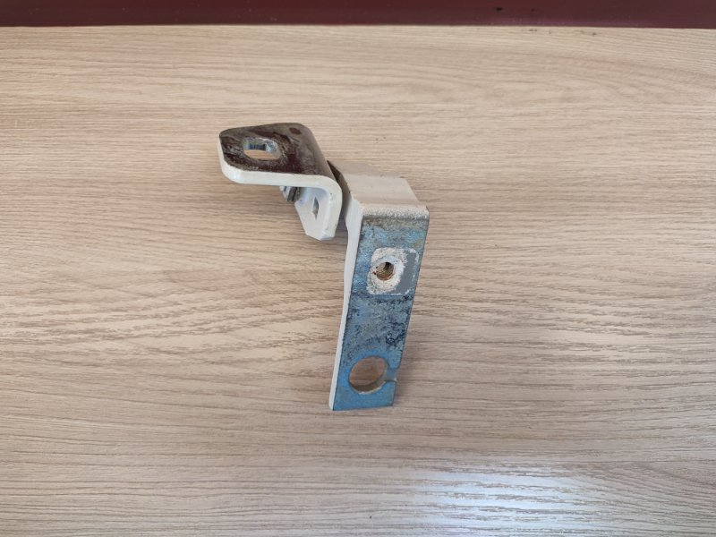 Петля двери