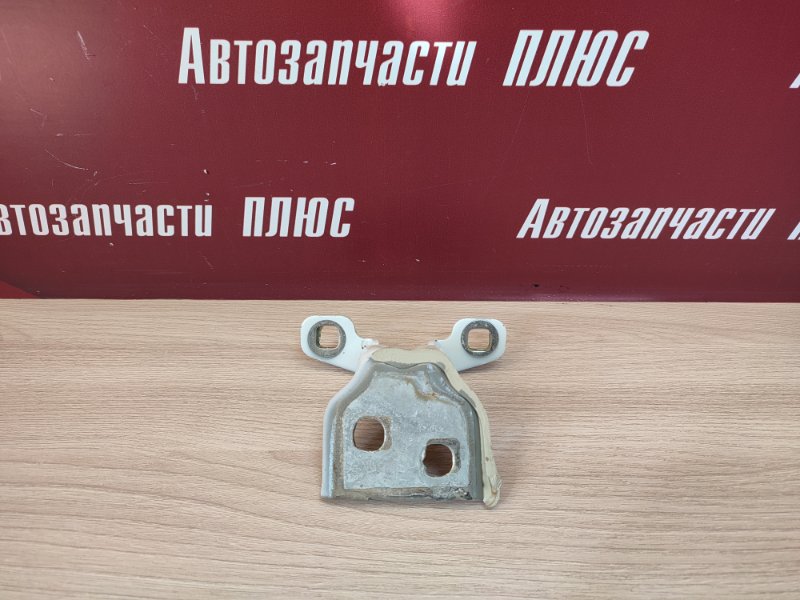 Петля двери