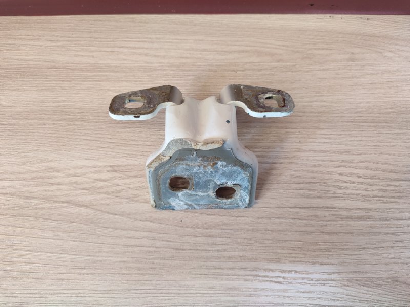 Петля двери