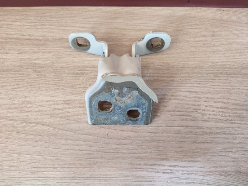 Петля двери