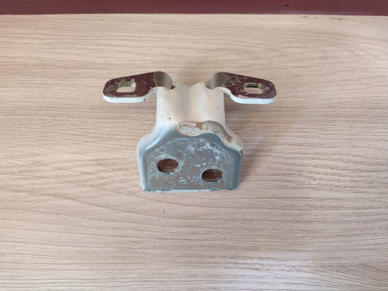 Петля двери