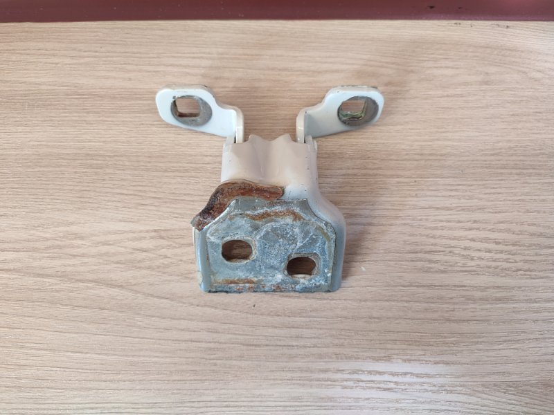 Петля двери