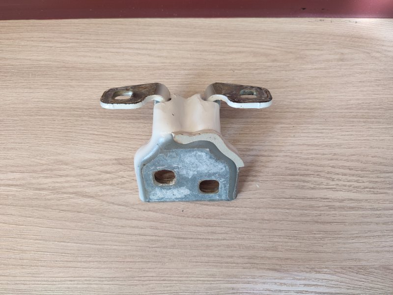 Петля двери