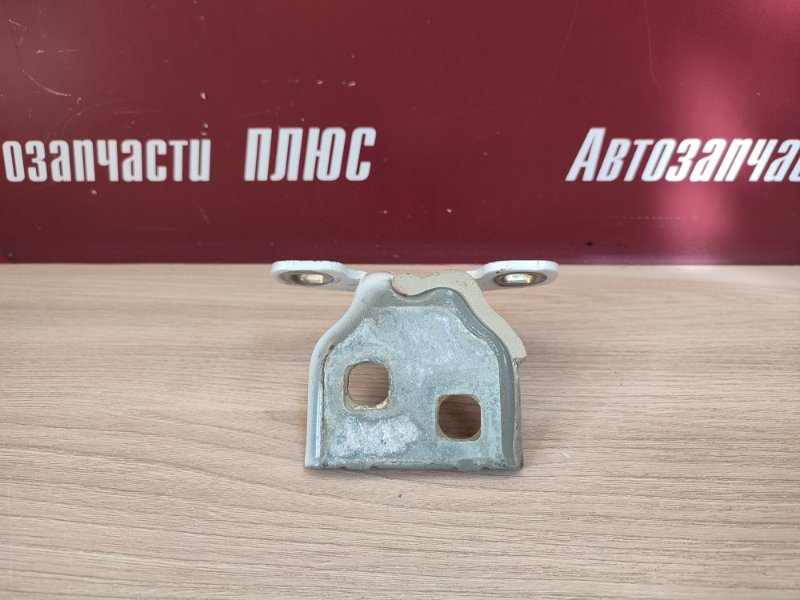 Петля двери