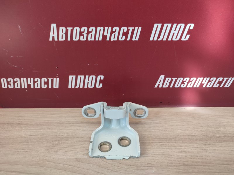 Петля двери