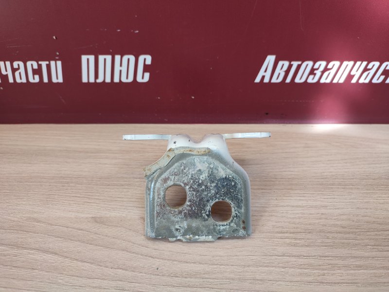 Петля двери