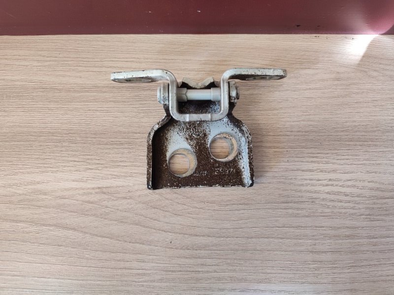 Петля двери