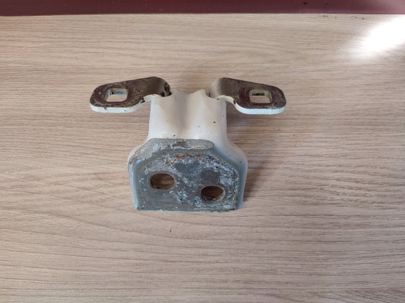 Петля двери