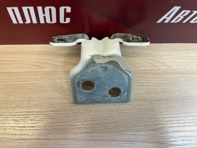 Петля двери