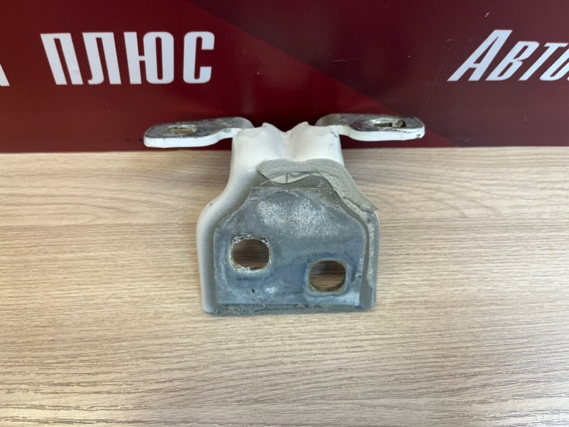 Петля     двери