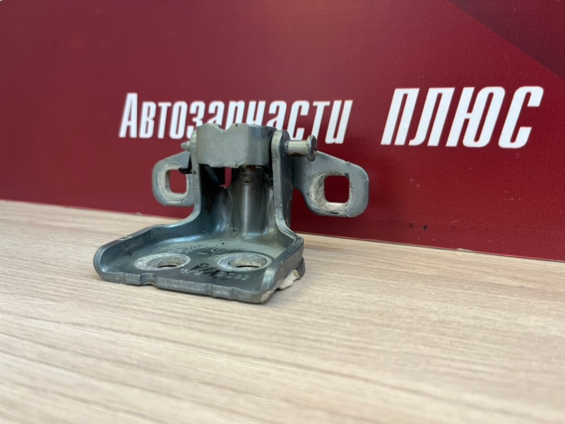 Петля     двери