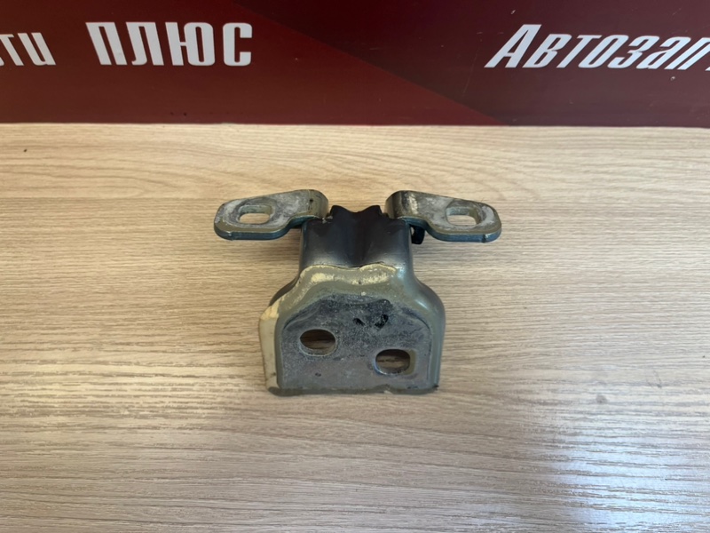 Петля     двери