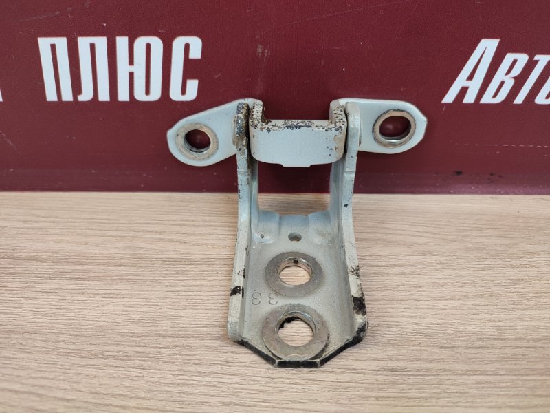 Петля     двери