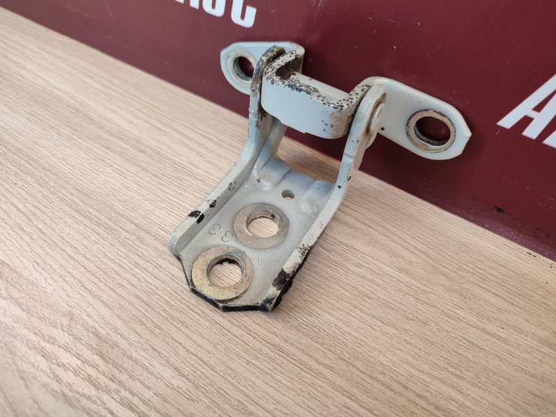 Петля     двери