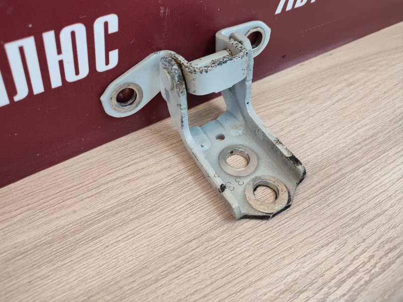 Петля     двери