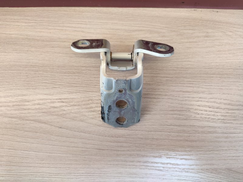 Петля     двери