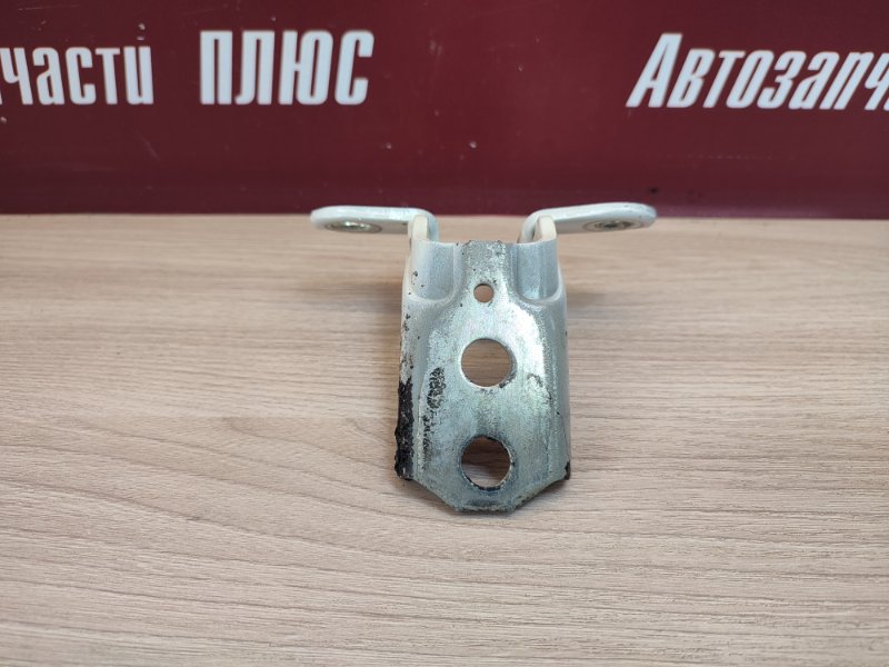 Петля     двери