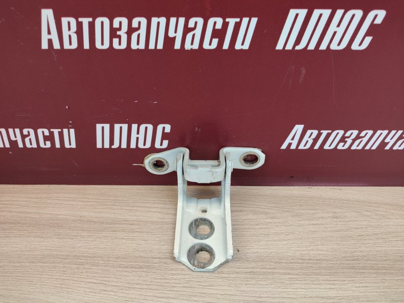 Петля     двери