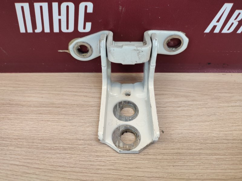 Петля     двери