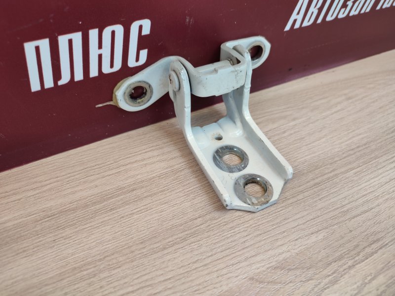 Петля     двери