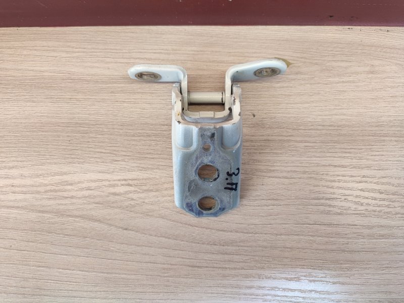 Петля     двери