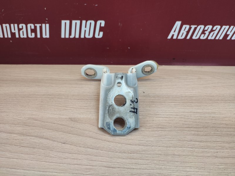 Петля     двери