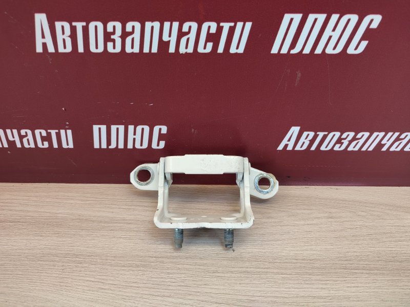 Петля     двери